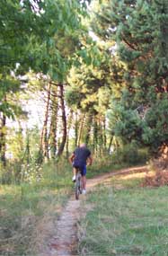 Strada sterrata attorno all'invaso della diga sul fiume conca, giro di montain bike in una bella giornata, partenza dall'albergo, Riccione - Cattolica - Morciano, andata e ritorno tutta sugli sterrati del fiume.