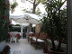 Riccione hotel Vera,  giardino magnolia